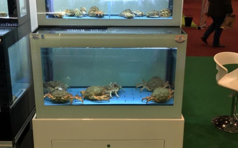 EQUIPO CON DOBLE ALTURA - Acuarios y Viveros de marisco Tecnomar